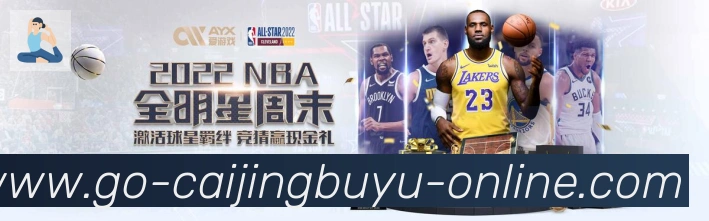 未来规划